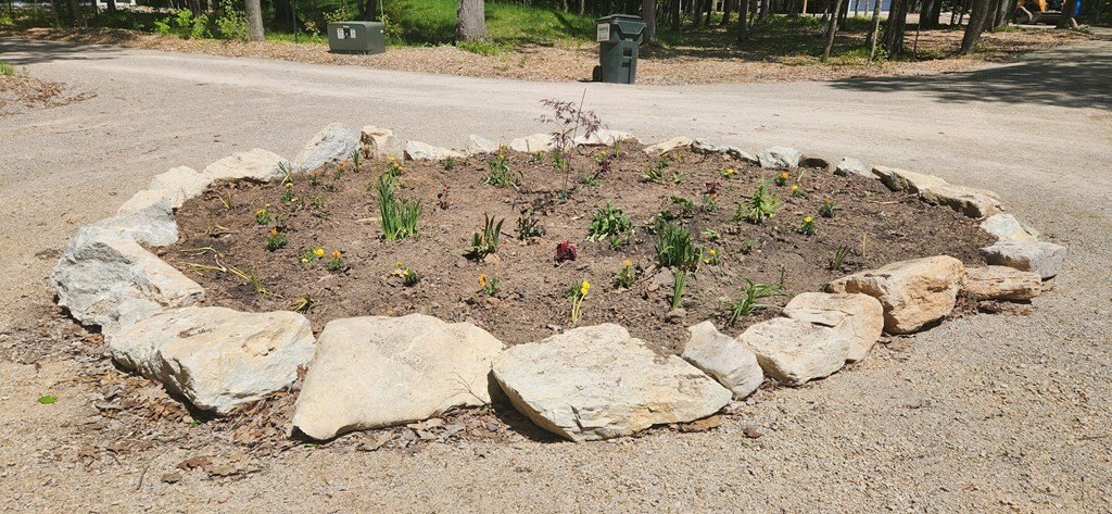 Picture 10