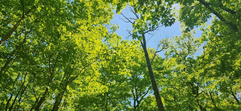Picture 3
