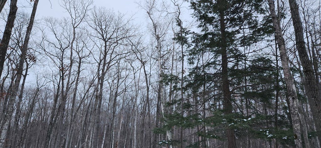 Picture 4