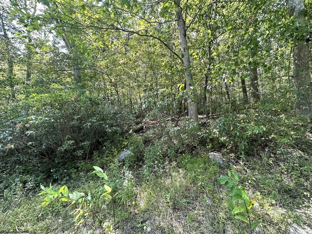 Picture 10