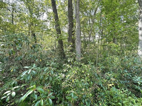 LAND - Terra Alta, WV