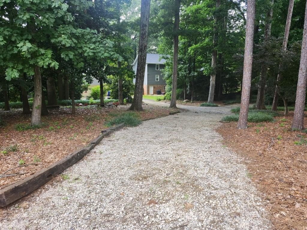 Picture 3