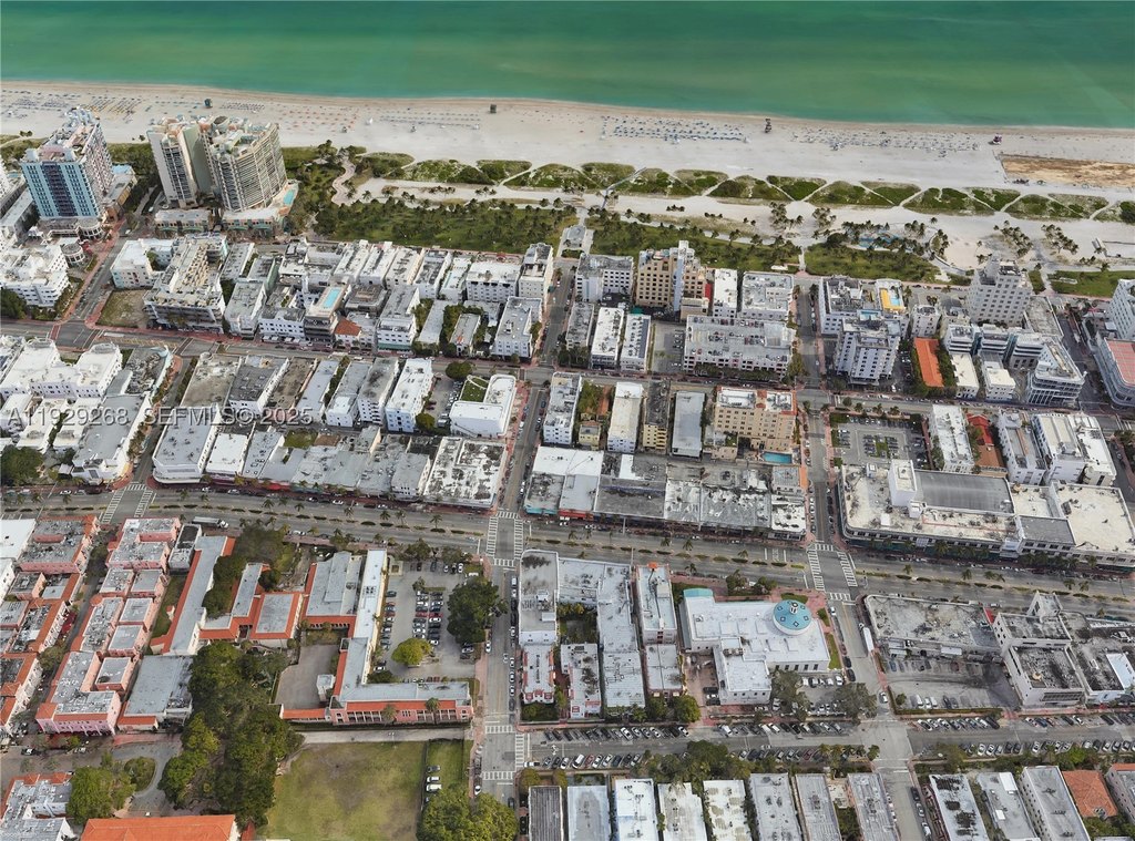 Picture 8