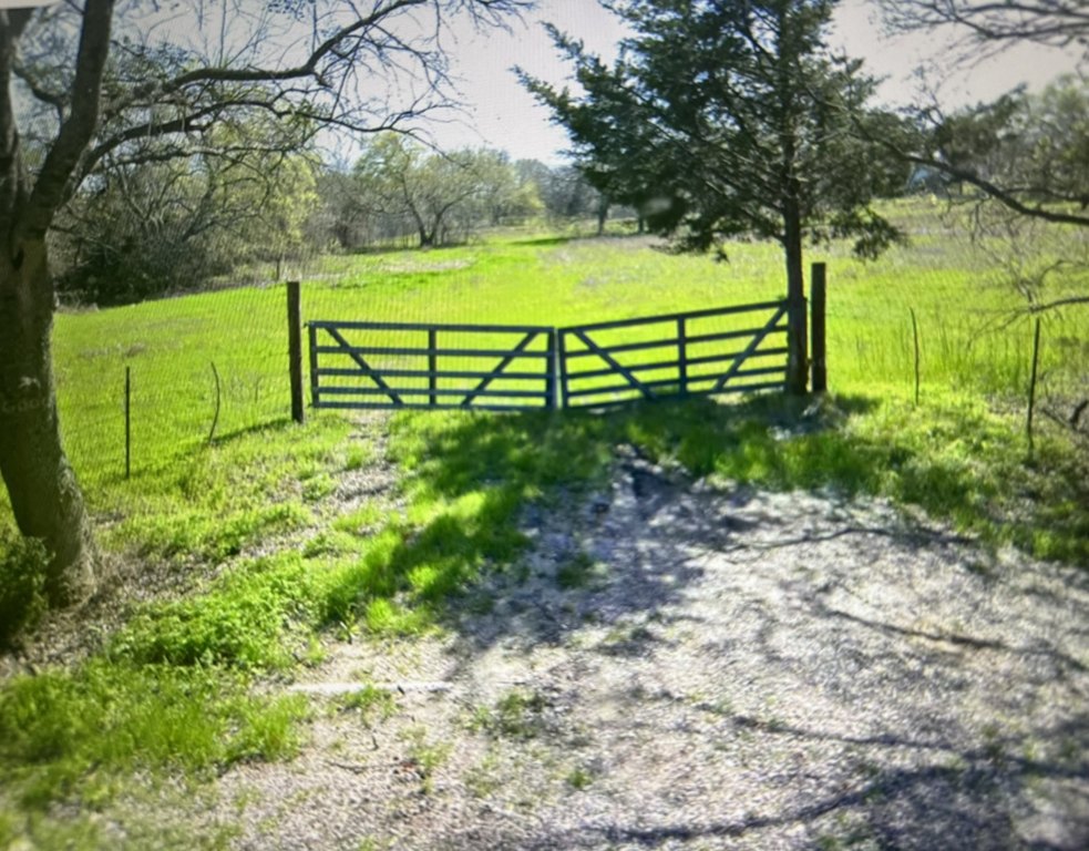 Picture 3