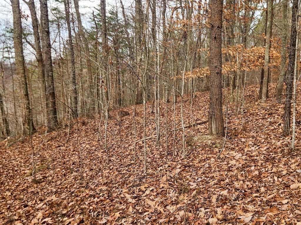 Picture 18