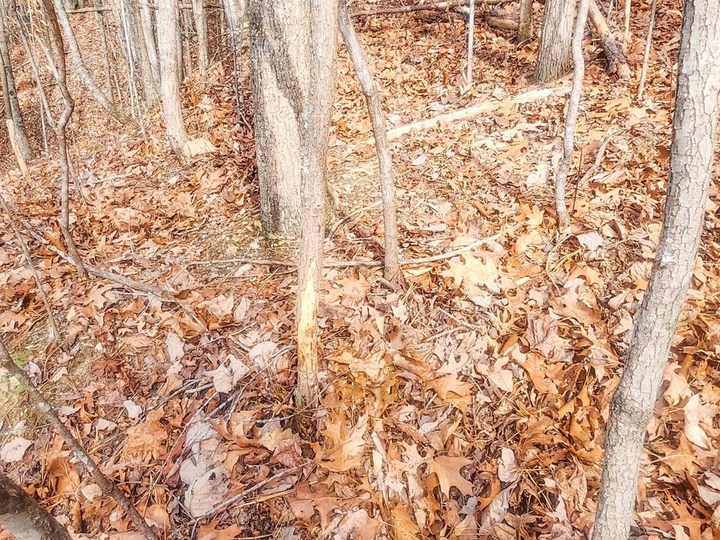 Picture 33