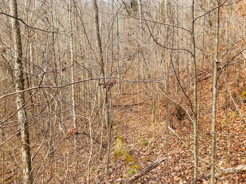 Picture 21
