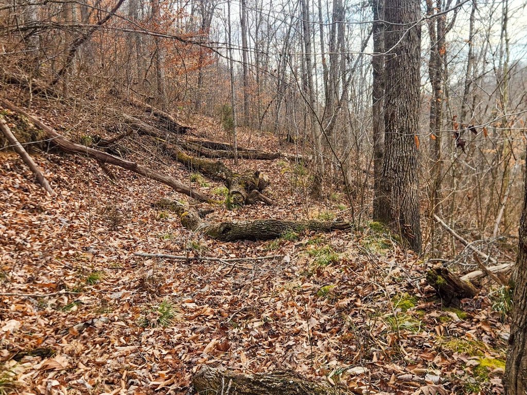 Picture 14