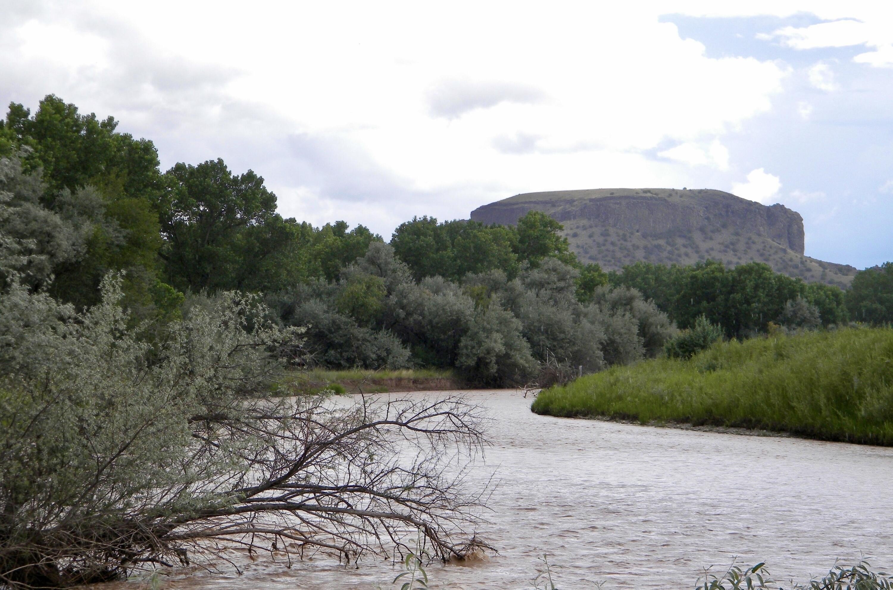 La Mesilla Land with River Views