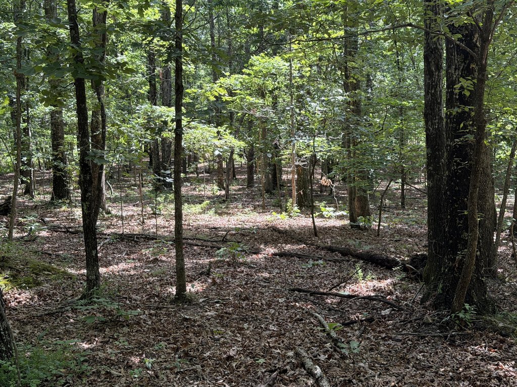 Picture 16