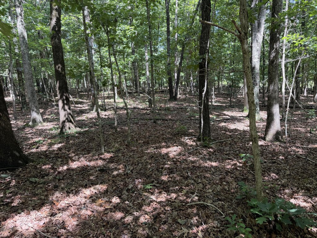 Picture 18
