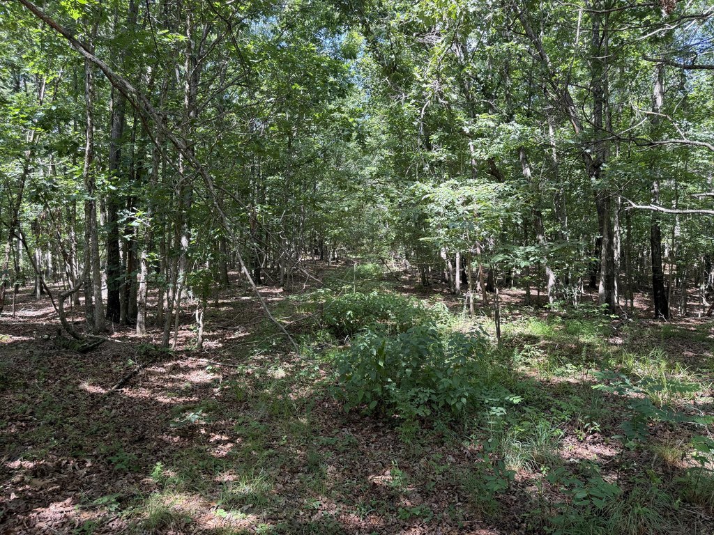 Picture 23