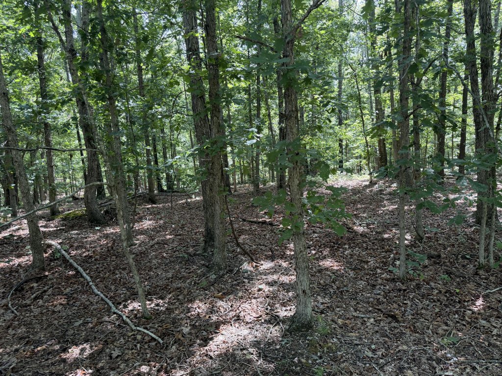 Picture 14