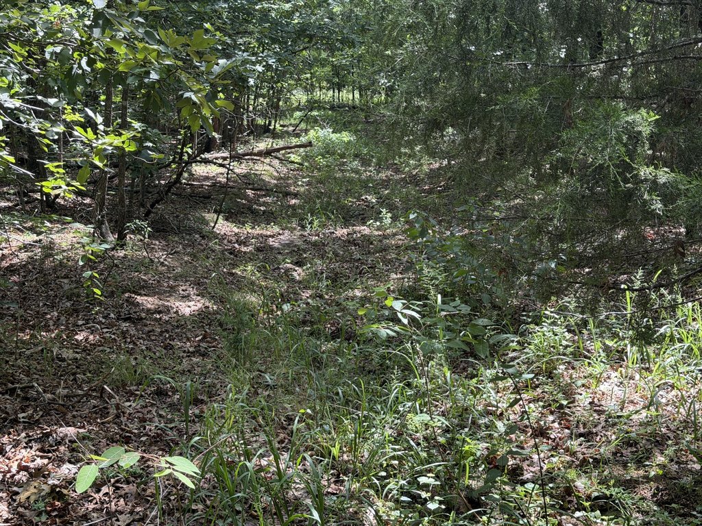 Picture 6