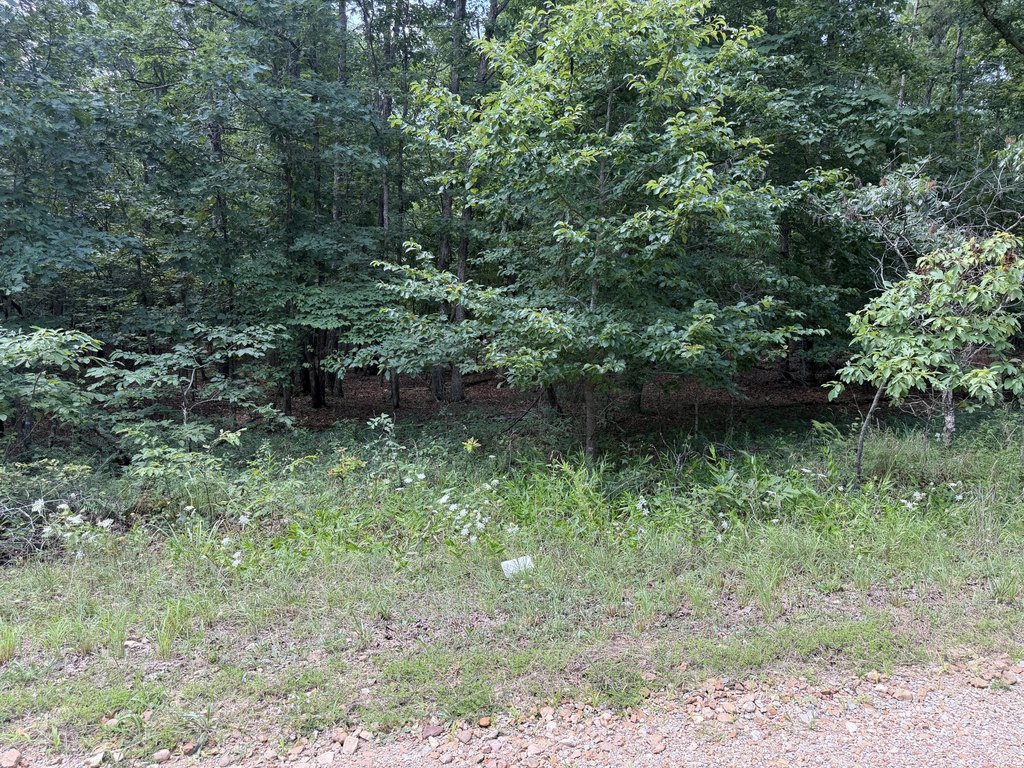 Picture 8