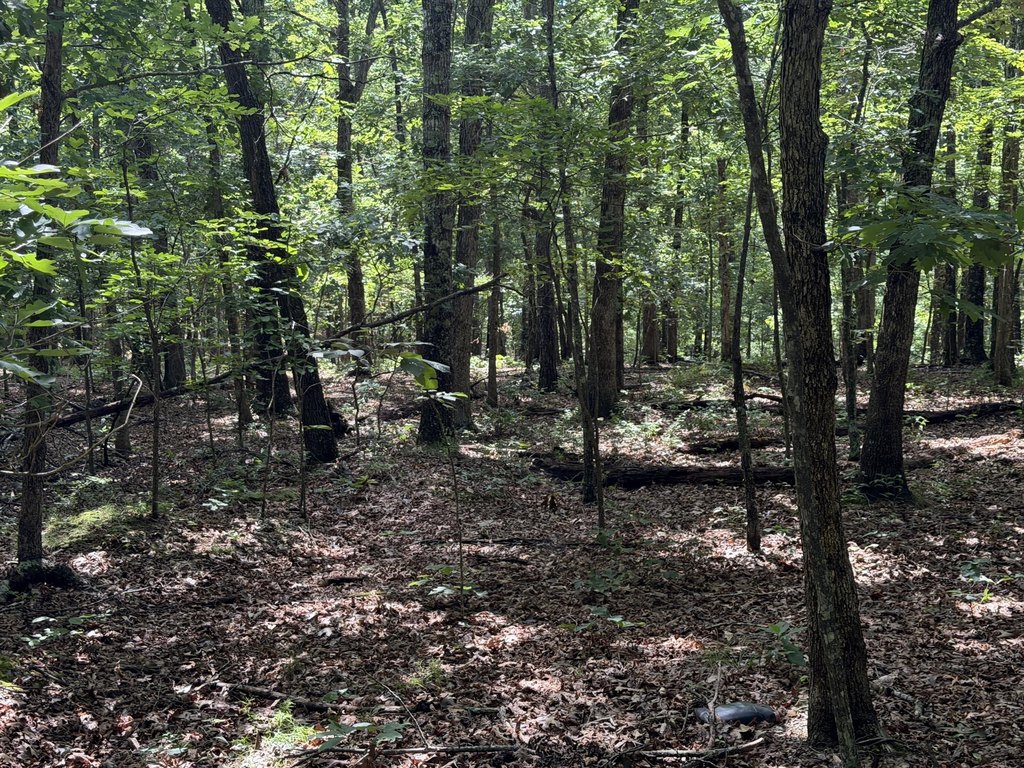 Picture 21