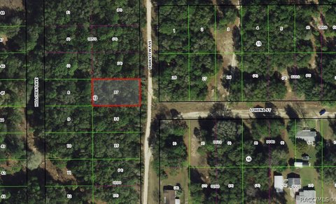 Land, Inverness, FL