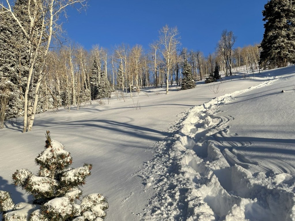 Picture 10