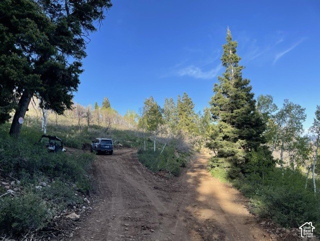 Picture 25