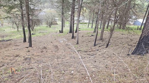 Buildable Lot in Peck, Idaho