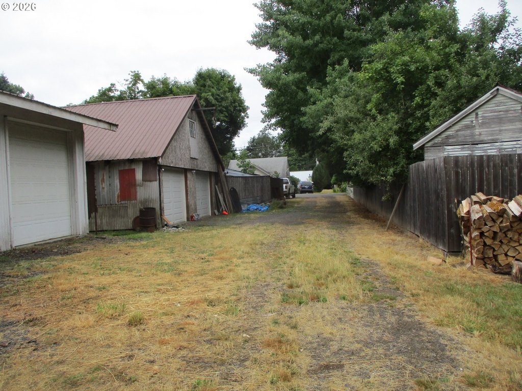 Picture 5