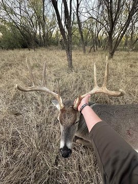 77.62 Acres of Fenced Land