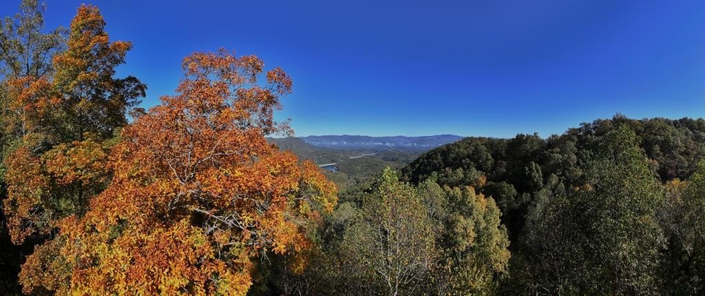 Ready-to-Build View Lot