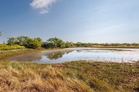 Pasture Hunting Tract with Ponds