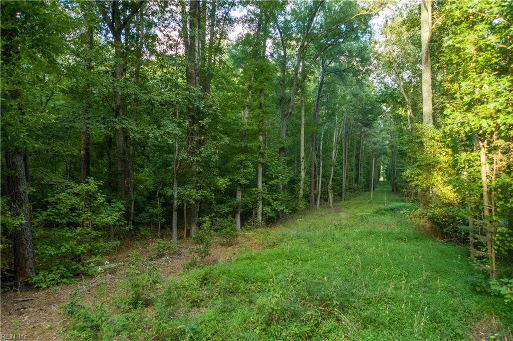Picture 6
