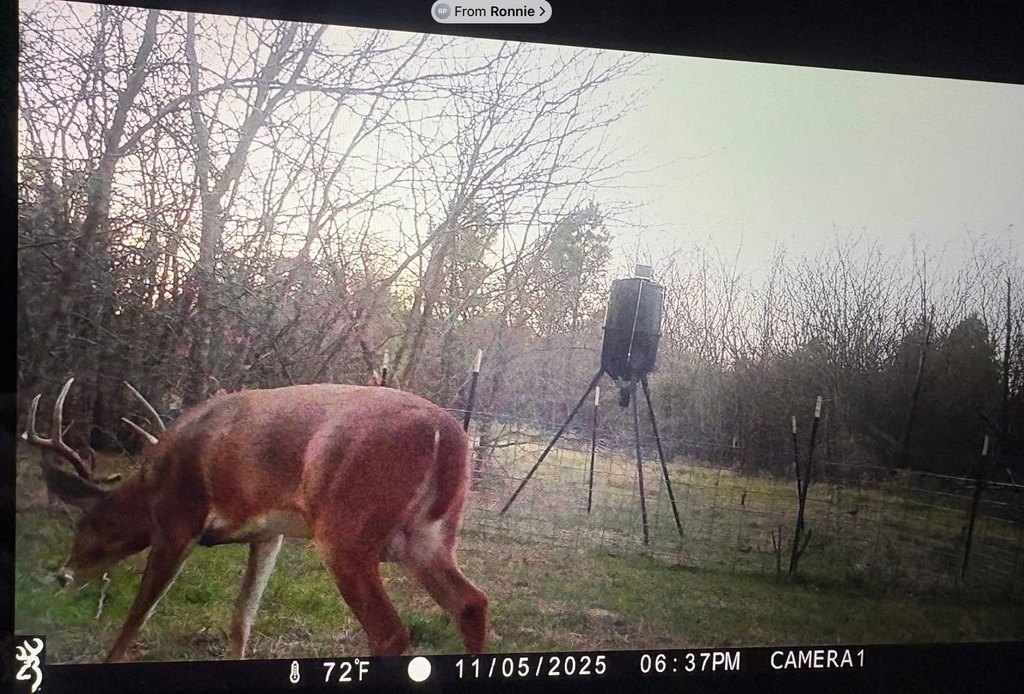 Picture 2