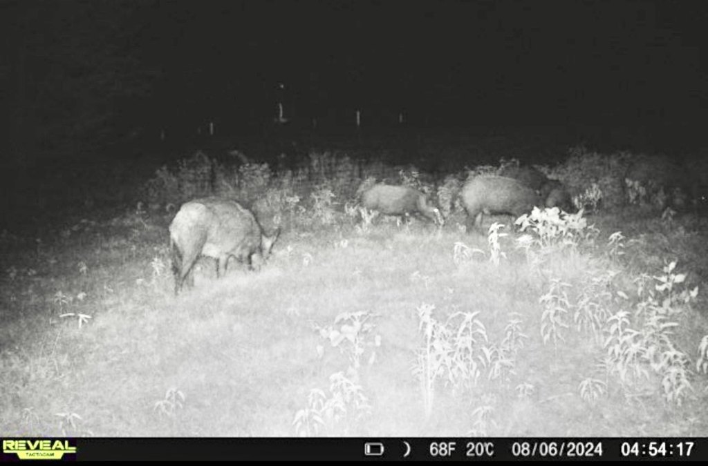 Picture 4