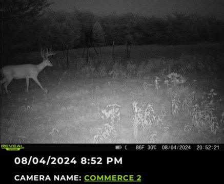 Recreational Hunting Land with Trails
