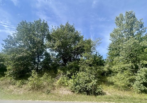 Land, Holland, MI