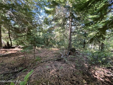 Remote Idaho Land Parcel