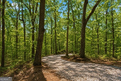 Land, Eastanollee, GA