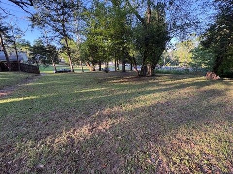 Residential Land in Palestine, TX