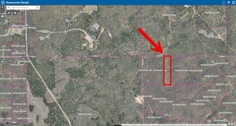 10 Acres of Michigan Wilderness