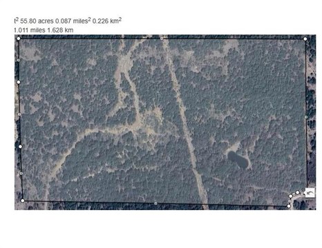 55.8 Acres of Diverse Texas Land