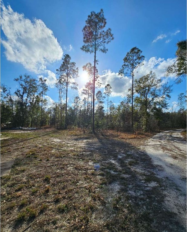 Picture 21