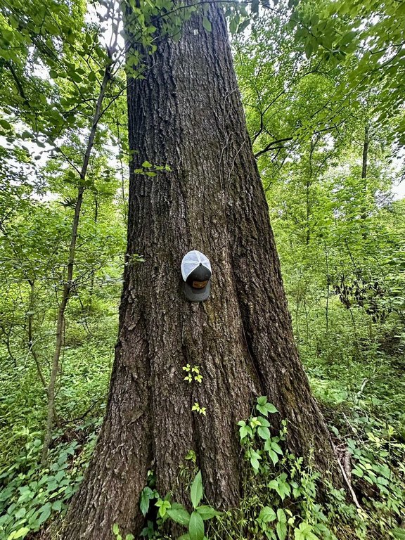 Picture 16