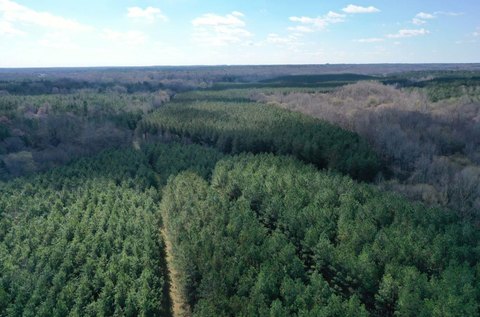 Red Banks Land with Hunting