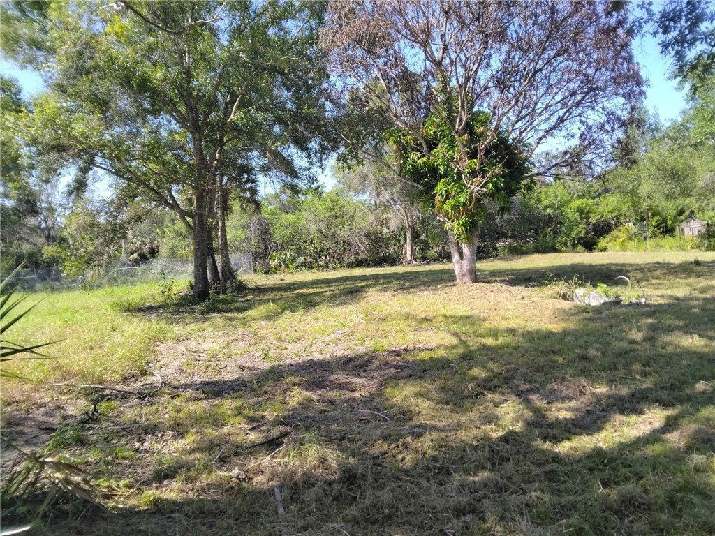 Picture 9