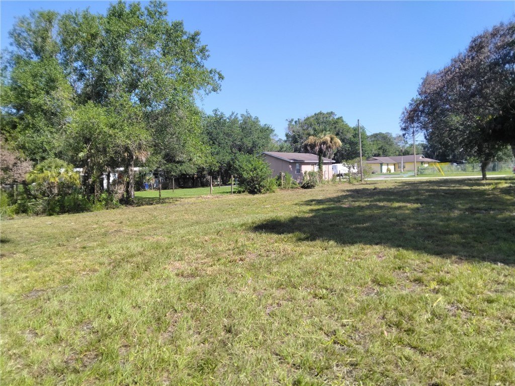 Picture 5