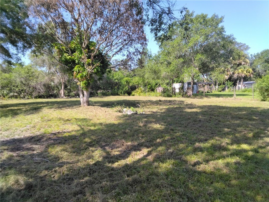 Picture 8