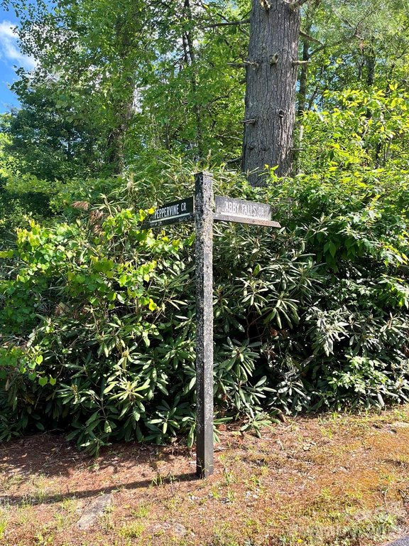 Picture 36