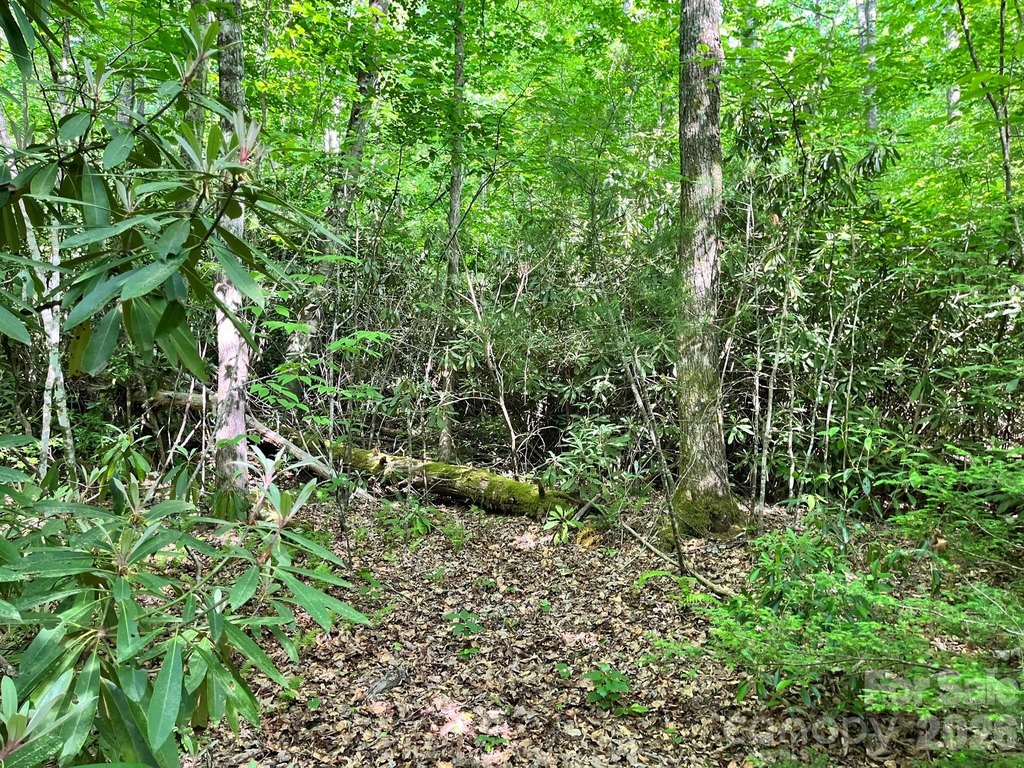 Picture 41
