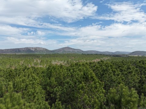 Langley AR Wooded Recreational Land