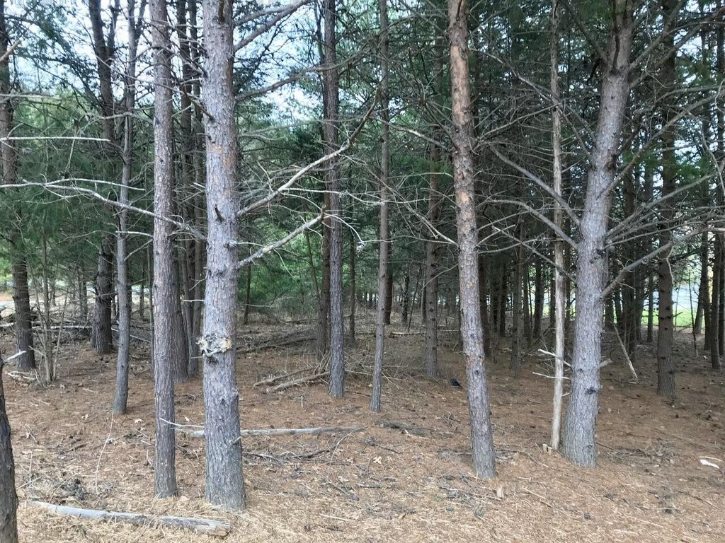 Picture 36
