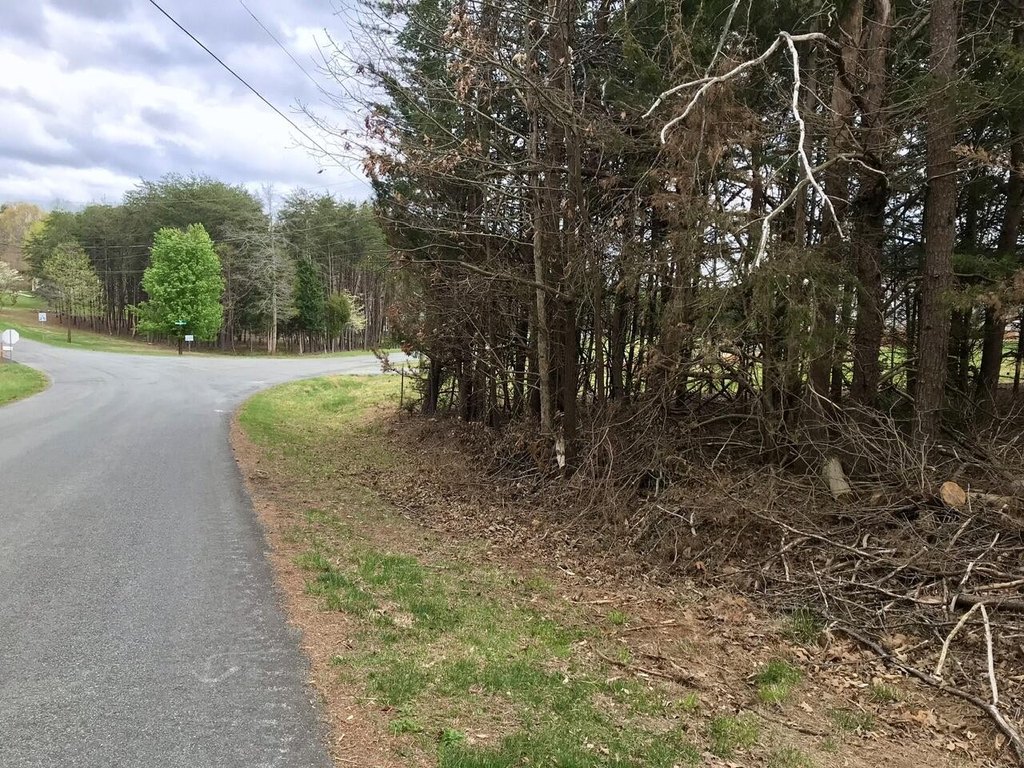 Picture 30
