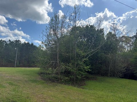 LAND - Hamilton, GA